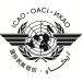 International Civil Aviation Organization (ICAO)